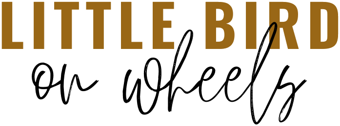 Little Bird On Wheels